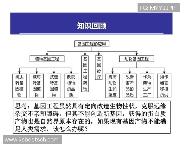 荷兰足球明星的崛起与成就解析：从历史到现状的全面回顾